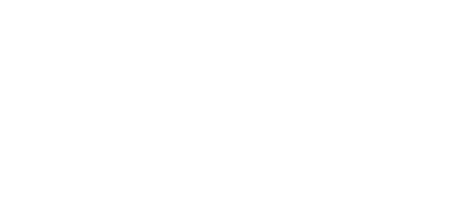 MAKE THE FUTURE